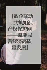 政企联动，共筑知识产权保护网——赋能民营经济高质量发展