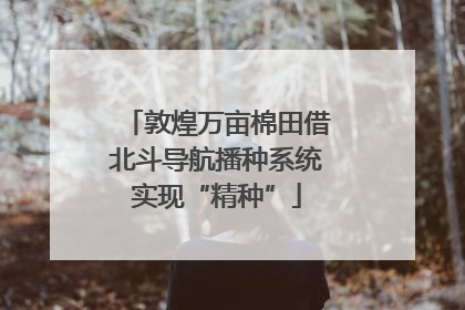 敦煌万亩棉田借北斗导航播种系统实现“精种”