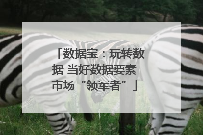 数据宝：玩转数据 当好数据要素市场“领军者”