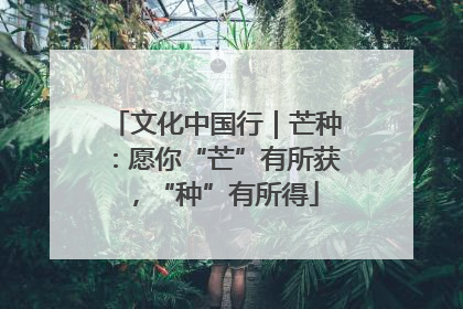 文化中国行｜芒种：愿你“芒”有所获，“种”有所得