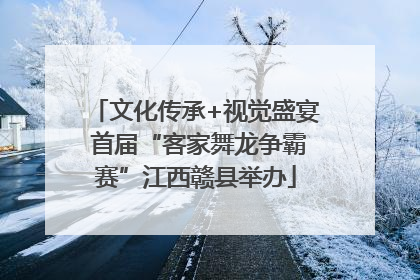 文化传承+视觉盛宴 首届“客家舞龙争霸赛”江西赣县举办