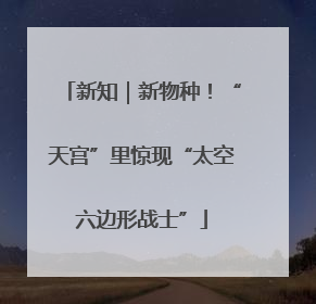 新知｜新物种！“天宫”里惊现“太空六边形战士”