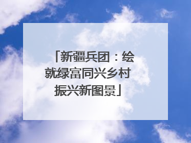 新疆兵团：绘就绿富同兴乡村振兴新图景