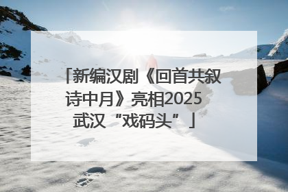 新编汉剧《回首共叙诗中月》亮相2025武汉“戏码头”