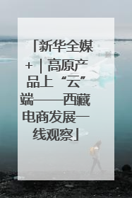新华全媒+｜高原产品上“云”端——西藏电商发展一线观察