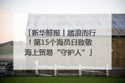 新华鲜报丨踏浪而行！第15个海员日致敬海上贸易“守护人”