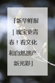 新华鲜报｜瑰宝更青春！看文化和自然遗产新光彩