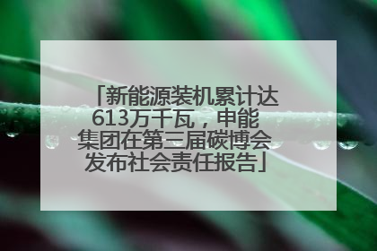 新能源装机累计达613万千瓦，申能集团在第三届碳博会发布社会责任报告