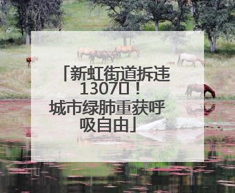 新虹街道拆违 1307㎡！城市绿肺重获呼吸自由