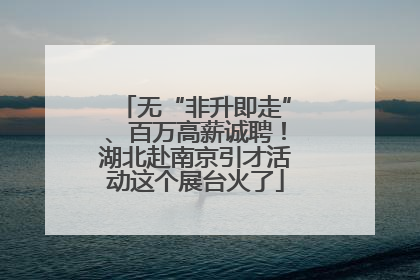 无“非升即走”、百万高薪诚聘！湖北赴南京引才活动这个展台火了