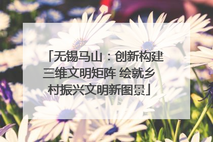 无锡马山：创新构建三维文明矩阵 绘就乡村振兴文明新图景