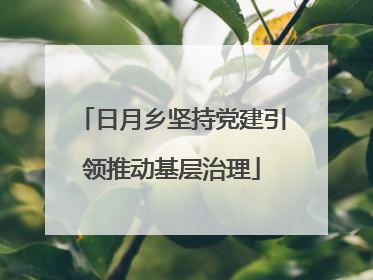 日月乡坚持党建引领推动基层治理