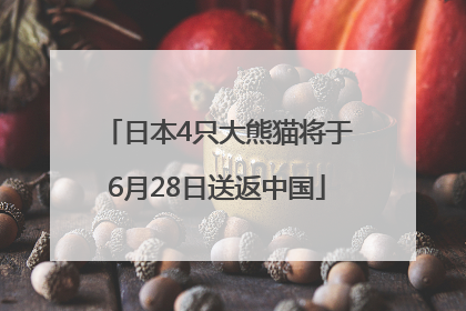 日本4只大熊猫将于6月28日送返中国