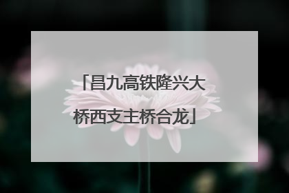 昌九高铁隆兴大桥西支主桥合龙