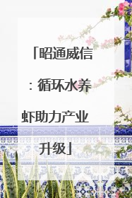昭通威信：循环水养虾助力产业升级