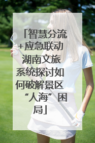 智慧分流+应急联动 湖南文旅系统探讨如何破解景区“人海”困局