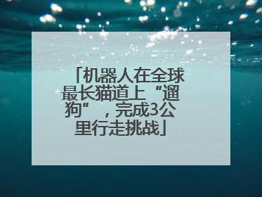 机器人在全球最长猫道上“遛狗”，完成3公里行走挑战