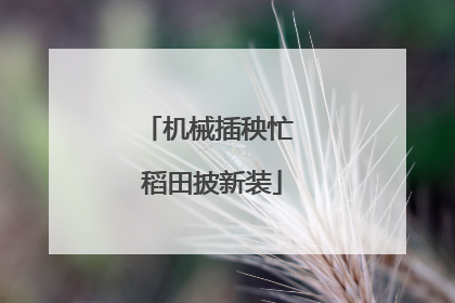 机械插秧忙 稻田披新装