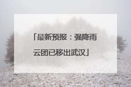 最新预报：强降雨云团已移出武汉
