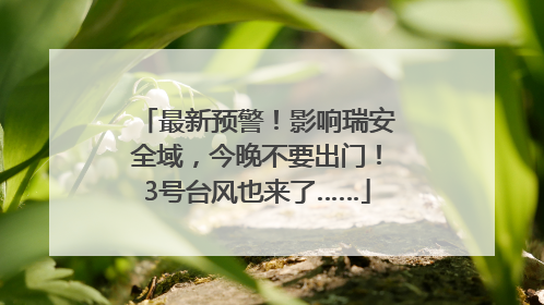 最新预警！影响瑞安全域，今晚不要出门！3号台风也来了……
