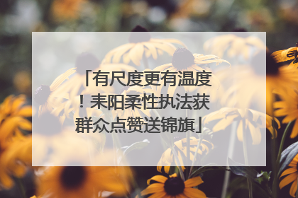 有尺度更有温度！耒阳柔性执法获群众点赞送锦旗