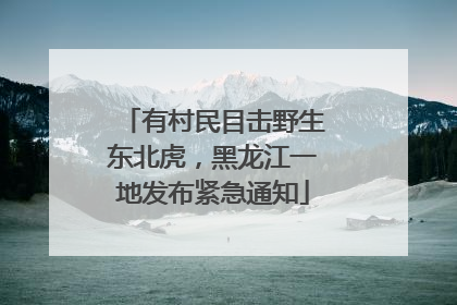 有村民目击野生东北虎，黑龙江一地发布紧急通知