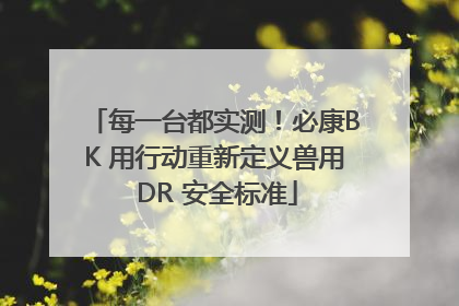 每一台都实测！必康BK 用行动重新定义兽用 DR 安全标准