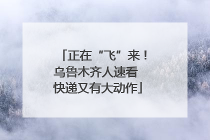 正在“飞”来！乌鲁木齐人速看 快递又有大动作