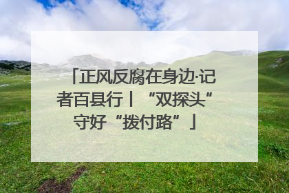 正风反腐在身边·记者百县行丨“双探头”守好“拨付路”