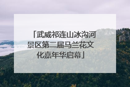 武威祁连山冰沟河景区第二届马兰花文化嘉年华启幕