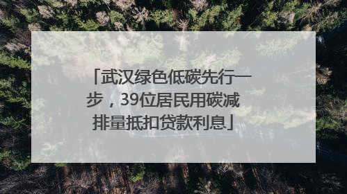 武汉绿色低碳先行一步，39位居民用碳减排量抵扣贷款利息