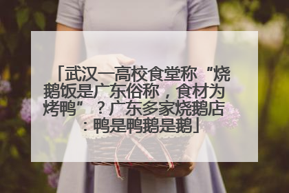 武汉一高校食堂称“烧鹅饭是广东俗称，食材为烤鸭”？广东多家烧鹅店：鸭是鸭鹅是鹅