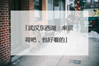 武汉东西湖：来赏荷吧，包好看的