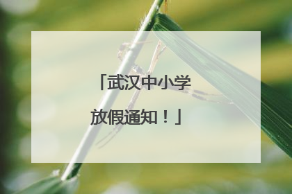 武汉中小学放假通知！