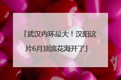武汉内环最大！汉阳这片6月顶流花海开了