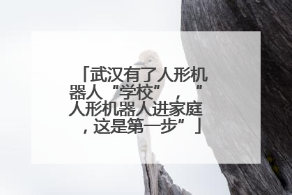 武汉有了人形机器人“学校”，“人形机器人进家庭，这是第一步”