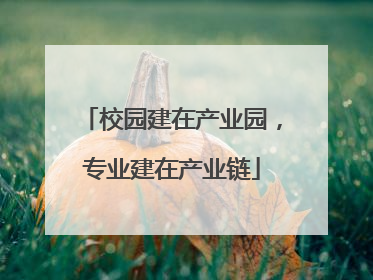 校园建在产业园，专业建在产业链