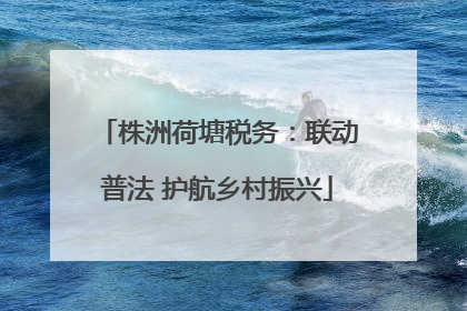 株洲荷塘税务：联动普法 护航乡村振兴