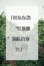 桂东东洛：“红领雁”领航百业兴