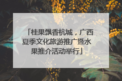 桂果飘香杭城，广西夏季文化旅游推广暨水果推介活动举行
