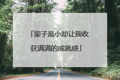 案子虽小却让我收获满满的成就感