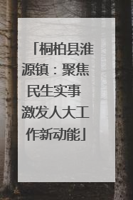 桐柏县淮源镇：聚焦民生实事 激发人大工作新动能