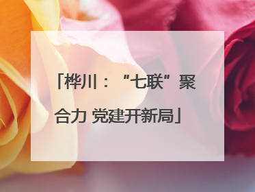 桦川：“七联”聚合力 党建开新局