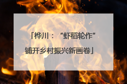 桦川：“虾稻轮作”铺开乡村振兴新画卷