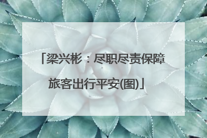 梁兴彬：尽职尽责保障旅客出行平安(图)