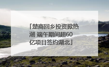 楚商回乡投资掀热潮 端午期间超60亿项目签约湖北