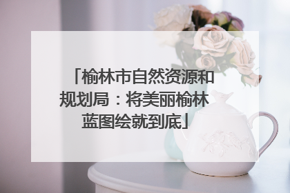 榆林市自然资源和规划局：将美丽榆林蓝图绘就到底