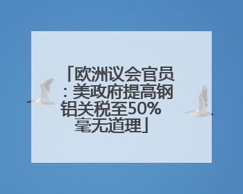 欧洲议会官员：美政府提高钢铝关税至50%毫无道理