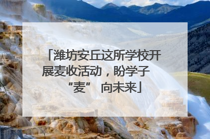 潍坊安丘这所学校开展麦收活动，盼学子 “麦” 向未来
