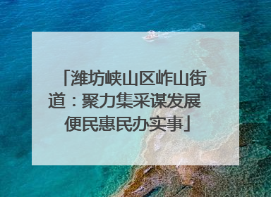潍坊峡山区岞山街道：聚力集采谋发展 便民惠民办实事
